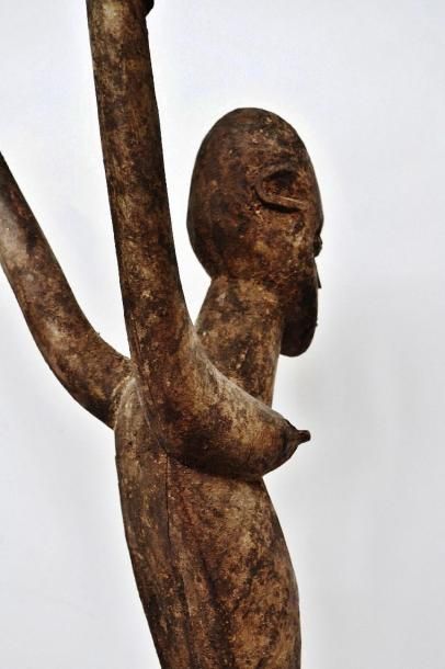 null LOBI Burkina Faso Bateba féminin debout les deux bras énergiquement levés et...