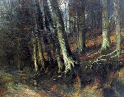 null Alfred Théodore BASTIEN (1873-1955). Sous bois en automne. Huile sur toile signé...