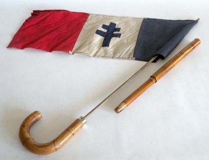 null CANNE patriotique drapeau français à croix de Lorraine