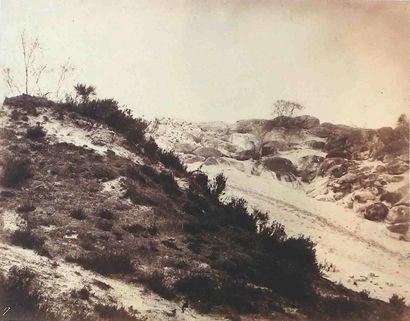 null Eugène CUVELIER (1837-1900). Chemin en forêt, mare , Arbres et rochers , allée...