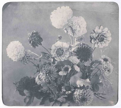 null Adolphe BRAUN (1812-1877). Bouquet de dahlias. 1853. Épreuve d’époque sur papier...