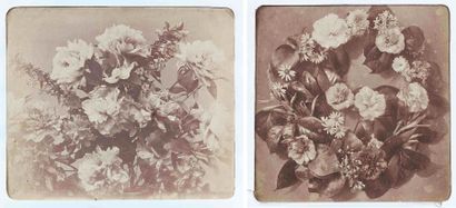 null Adolphe BRAUN (1812-1877). Études de fleurs. Vers 1854. 20 épreuves d’époque...