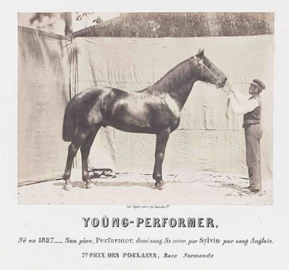 null Adrien TOURNACHON [dit TOURNACHON Jeune] (1825-1903). Young-Performer, né en...