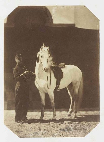 null Félix-Jacques Antoine MOULIN (1802-1875). Boghari, cheval arabe. Province d’Oran,...
