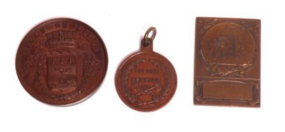null Lot de 3 médailles de table, bronze : Manœuvre de pompes 1878-79 Masse Henri...