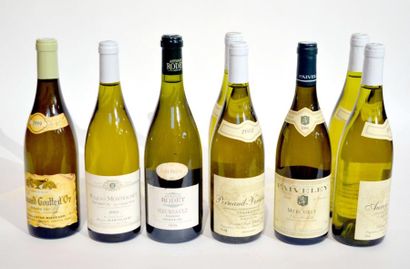 null Lot de 8 BLLES de Bourgogne Blanc dont 1 BLLE de Meursault Goutte d'Or 1er Cru,...