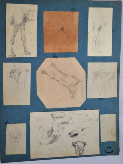 null Georges WASHINGTON (1827-1910) Etudes de chameaux. Planche de neuf dessins contrecollés...