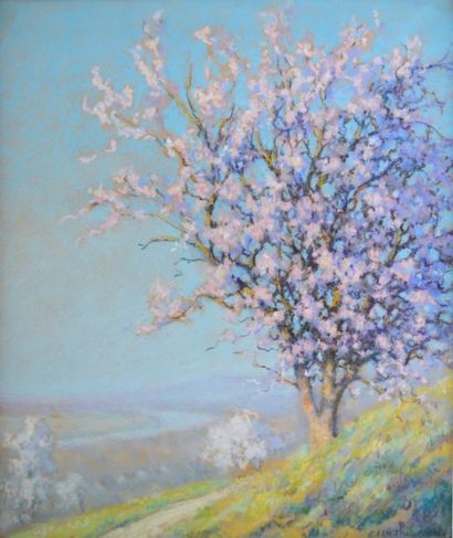 null Raymond THIBÉSART (1874-1968) Arbre en fleurs au printemps. Pastel signée en...