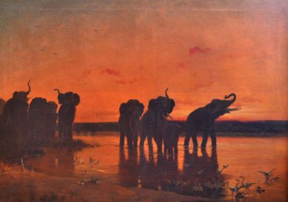 null BELEY, XIXe-XXe. Troupeau d'éléphants d'Afrique au point d'eau au soleil couchant....