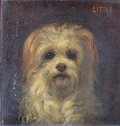 null Ecole française fin XIXe. Portrait du chien Little. Huile sur carton portant...