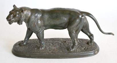 null Jules MOIGNIEZ (1835-1894) Le tigre du Bengale marchant. Bronze à patine brune...