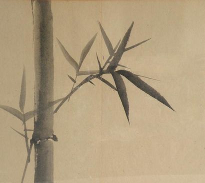 null École chinoise. Branche, feuille et bambou. Encre de chine. 29 x 32 cm 