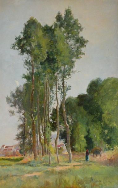 null Maurice DAINVILLE (1856-1943) Paysage aux grands arbres. Huile sur carton sigéne...