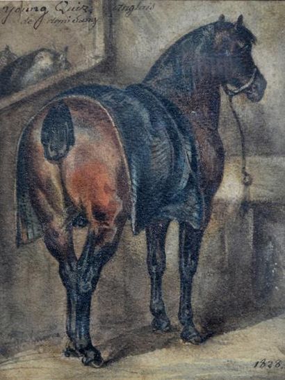 null Ecole française XIXe. Portrait du cheval Young Quiz, anglais demi sang. Aquarelle...