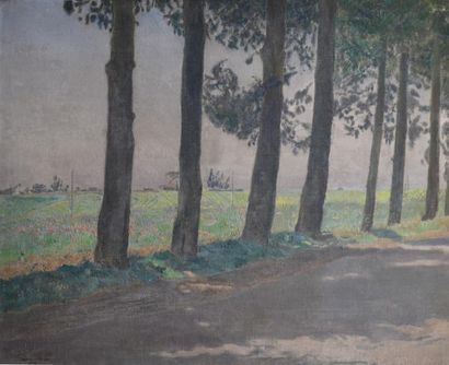 null Léon CARRE (1878-1942) Route ombragée. Huile sur panneau signé en bas à gauche....