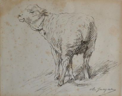 null Charles-Emile JACQUE (1813-1894) Mouton de dos. Fusain signé en bas à droite....
