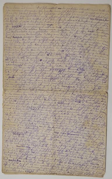 null MANUSCRITS] Max NORDAU (1849-1923) Manuscrit autographe. Texte en allemand....