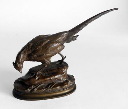 null Alphonse Alexandre ARSON (1822-1882) Faisan. Bronze à patine brune signé. 20...