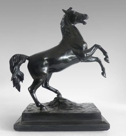 null Albert WOLFF (1814-1892) Grand cheval cabré. Bronze à patine brune signé, portant...