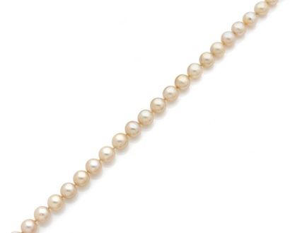 null COLLIER composé de perles de culture en chute, gold, diamètre 7 à 10 mm. Fermoir...