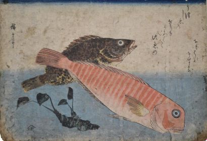 null Utagawa Hiroshige (1797-1858)Oban yoko-e de la série "Uwo zukushi", les poissons,...