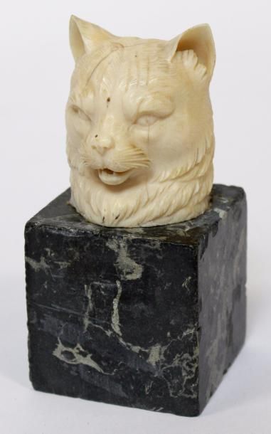 null TETE de chat en ivoire sculpté. Socle de scagliola à l'imitation du marbre....