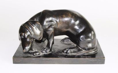 null Alfred RAUM (1872 - 1956). Chien Teckel rongeant son os, bronze à patine noire,...