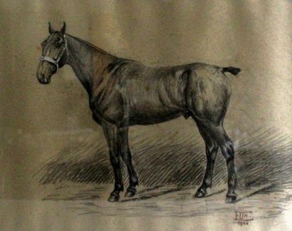 null Franck ELIM (XIXe-XXe). Portrait du cheval Artis, vers 1900, fusain et craie...