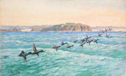 null Joseph OBERTHÜR (1872-1956). Colverts en vol au dessus de la mer, aquarelle...