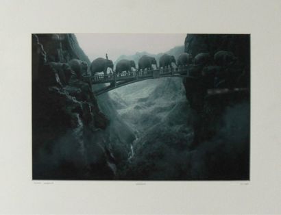 null Thomas HERBRICH né en 1955. Eléphants. Photographie en multiple, signée en bas...