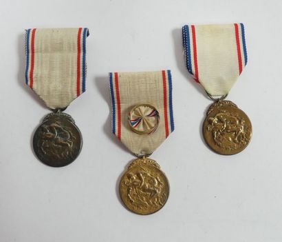 null Reconnaissance Française. Lot de 3 médailles. B.E. 