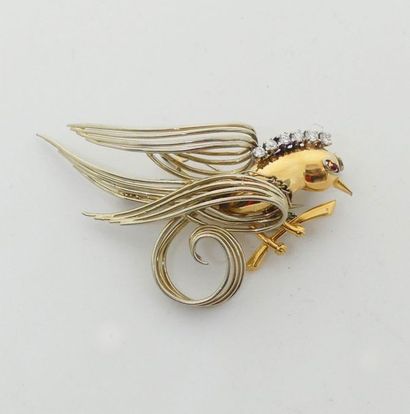 null BROCHE "Oiseau de Paradis" en or jaune et fils d'or blanc, rehaussée d'une ligne...