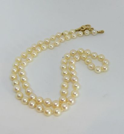 null COLLIER de perles de culture, fermoir mousqueton en or jaune