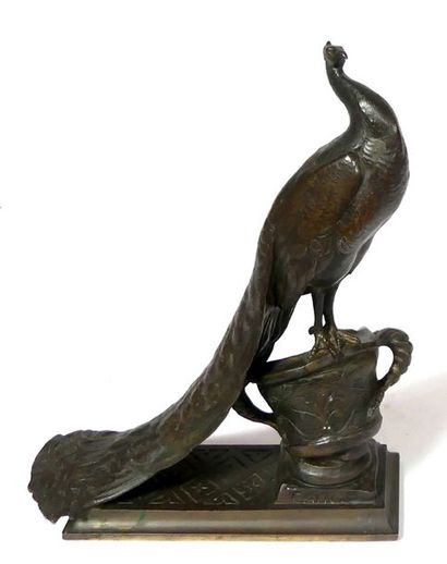 null Auguste CAIN (1821-1894). Paon. Epreuve en bronze à patine brune. Signée. 23...