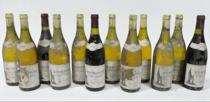 null Douze bouteilles BOURGOGNE, côte d'Auxerre Blanc et rouge, 1996