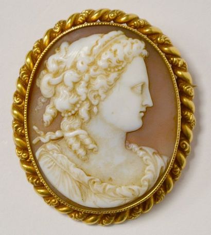 null BROCHE ovale, ornée d'une camé coquille à profil de femme, la monture en or...