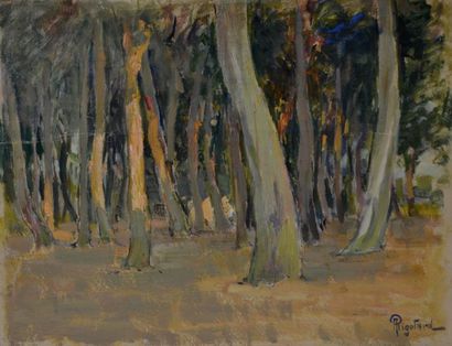null Alexandre RIGOTARD (1871-1944) Sous-bois d'eucalyptus en Algérie. Huile sur...