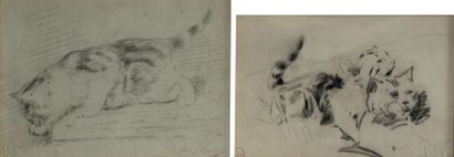 null Louis Eugène LAMBERT (1825-1900). études de chats. Deux dessins au crayon gras,...