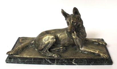 null J. MERCULIANO (1859-1935) Berger allemand couché. Bronze à patine dorée, signé...