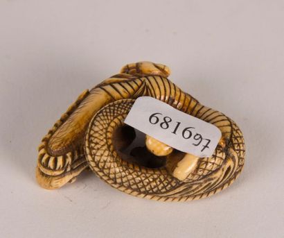 null JAPON, début XXème siècle. Netsuke en ivoire représentant un dragon. L : 5 cm....