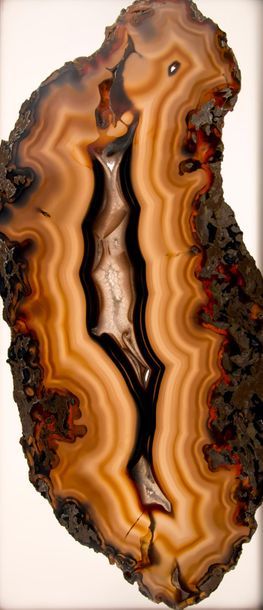 null Very large slice of translucent blond and brown translucent agate. 24,5x57 ...
