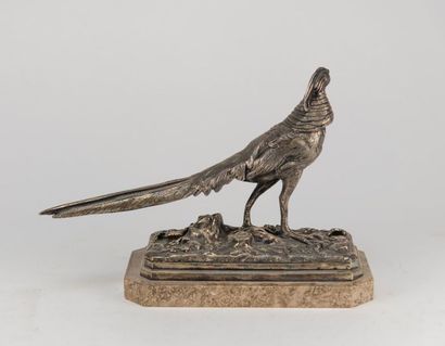 null Henri TRODOUX (19th century) after. Pheasant in silver bronze, marble base....