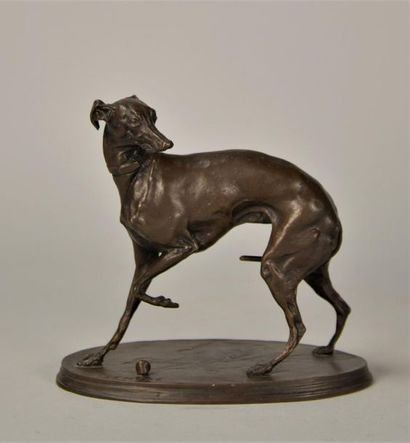 null Pierre-Jules MÈNE (1810-1879). Levrette jouant à la balle. Epreuve en bronze...