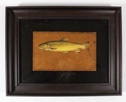 null Framed lithograph in colours signed M.V. (14 x 22,5 cms), representing a trout....