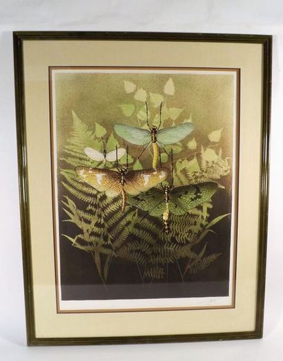null Framed lithograph in colours signed Charles Gaidy (69 x 52 cms), representing...