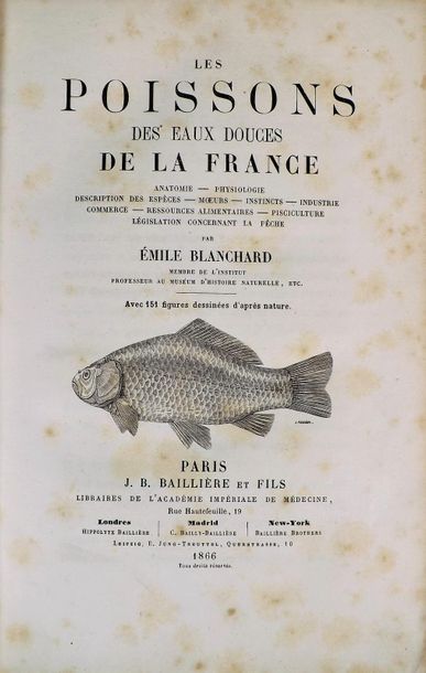 null BLANCHARD (E.). FISH FROM THE FRESH WATERS OF FRANCE. Paris, Baillière, 1866....