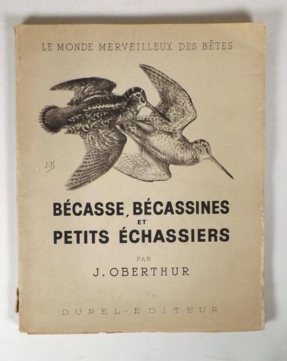 null OBERTHUR (J.). BECASSES, BECASSINES ET PETITS ECHASSIERS. Durel, 1948. In-4°...