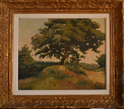 null According to Henri Joseph HARPIGNIES (1819-1916). The tree. Oil on canvas, bears...