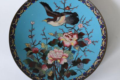 null 20th China. Three dishes in cloisonné enamels with bird motifs. 
Diam : 30 cm...