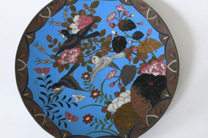 null 20th China. Three dishes in cloisonné enamels with bird motifs. 
Diam : 30 cm...